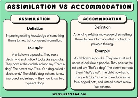 piaget's accommodation examples.